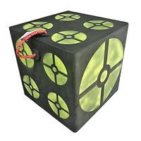 BCE Field Cube Archery Target