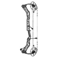 Mathews V3 31