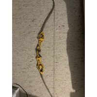 Hoyt Archery Formula X and Velos Recurve Limbs