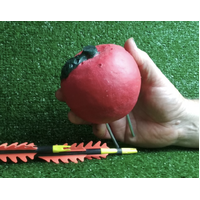 3D Apple Target With Metal Stake 