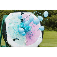 Gender Reveal - Eliza Archery 