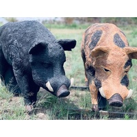 WildCrete Australian Feral Boar 3D Archery Target - Black
