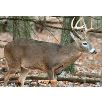 Nice Targets Deer Target Face