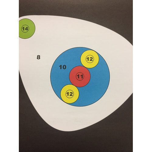 Delta ASA Indoor 3D Paper Target Face p/k 10
