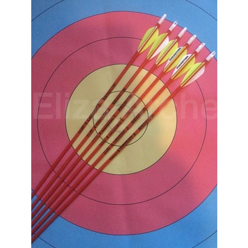 Easton Scout 2 Fiberglass Youth Arrows p/k 6