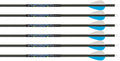 Carbon Express Predator 2 Fletched Arrows