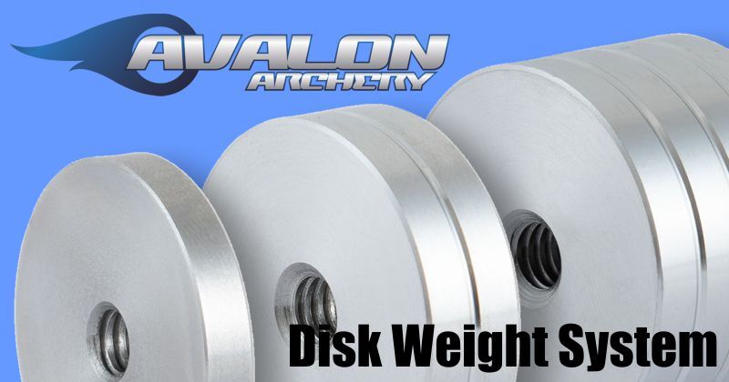 Avalon Disk Weights - Stainless