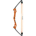 Bear Apprentice Compound Youth Bow