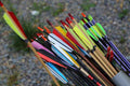 Used Arrows