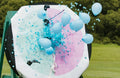 Gender Reveal Party