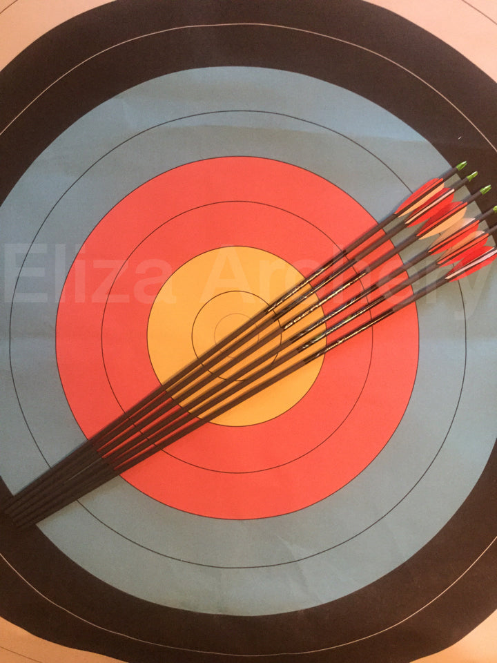 Carbon Express Predator 2 Feather Fletched Arrows p/k 6
